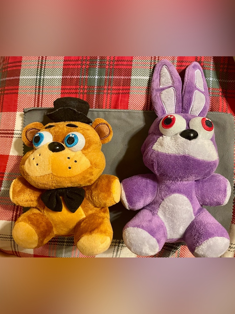 Unofficial FNAF Stuffed Animal Duo